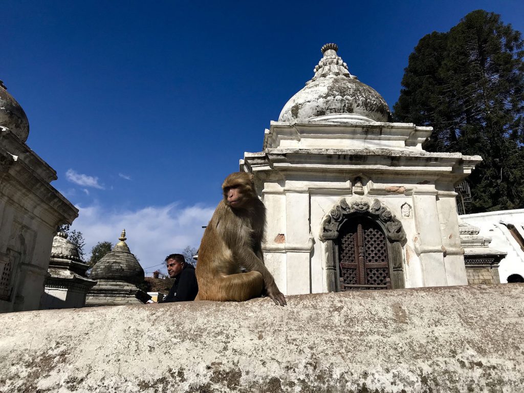 Nepal 2019